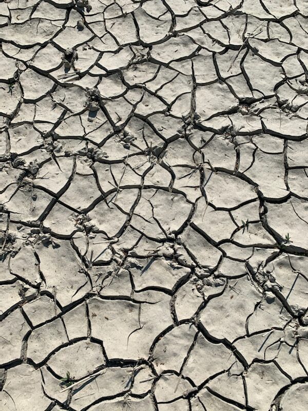 Cracked dry earth